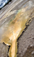 geyser
