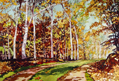 trail
