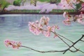 blossoms